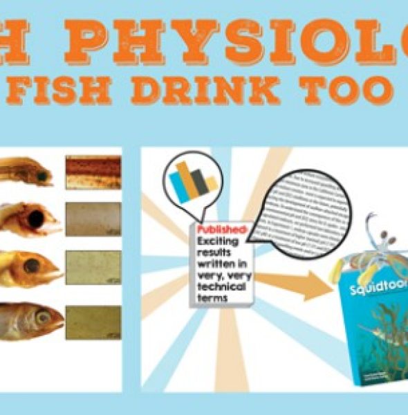 &#8220;Fish Physiology: Can a Fish Drink Too Much?&#8221; Presentation at the Seymour Center