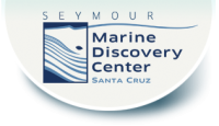 Ocean Explorers Summer Camp Seymour Marine Center